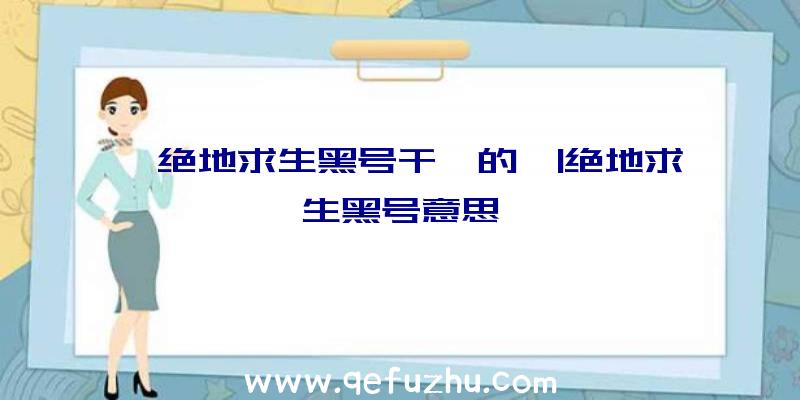 「绝地求生黑号干嘛的」|绝地求生黑号意思